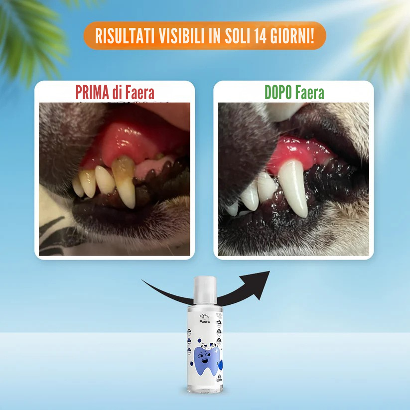 Faera Health – Offre pour chiens